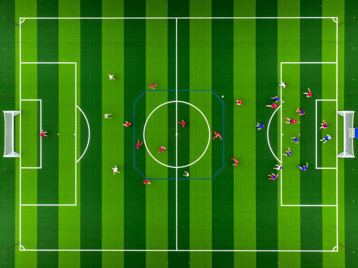 杏彩平台官网-世界前十蛙泳选手划水效率分析，蛙泳 划水率