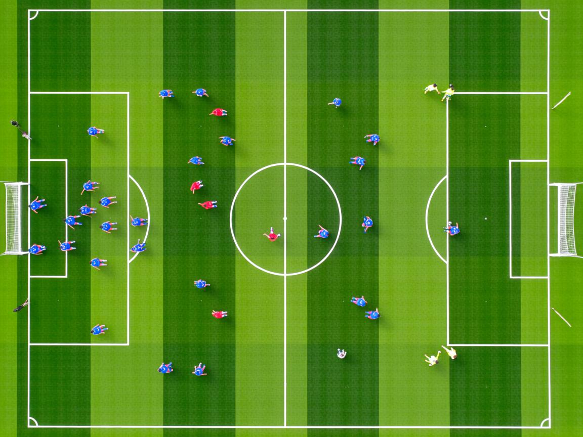 杏彩平台官网-世界前十蛙泳选手划水效率分析，蛙泳 划水率  第3张