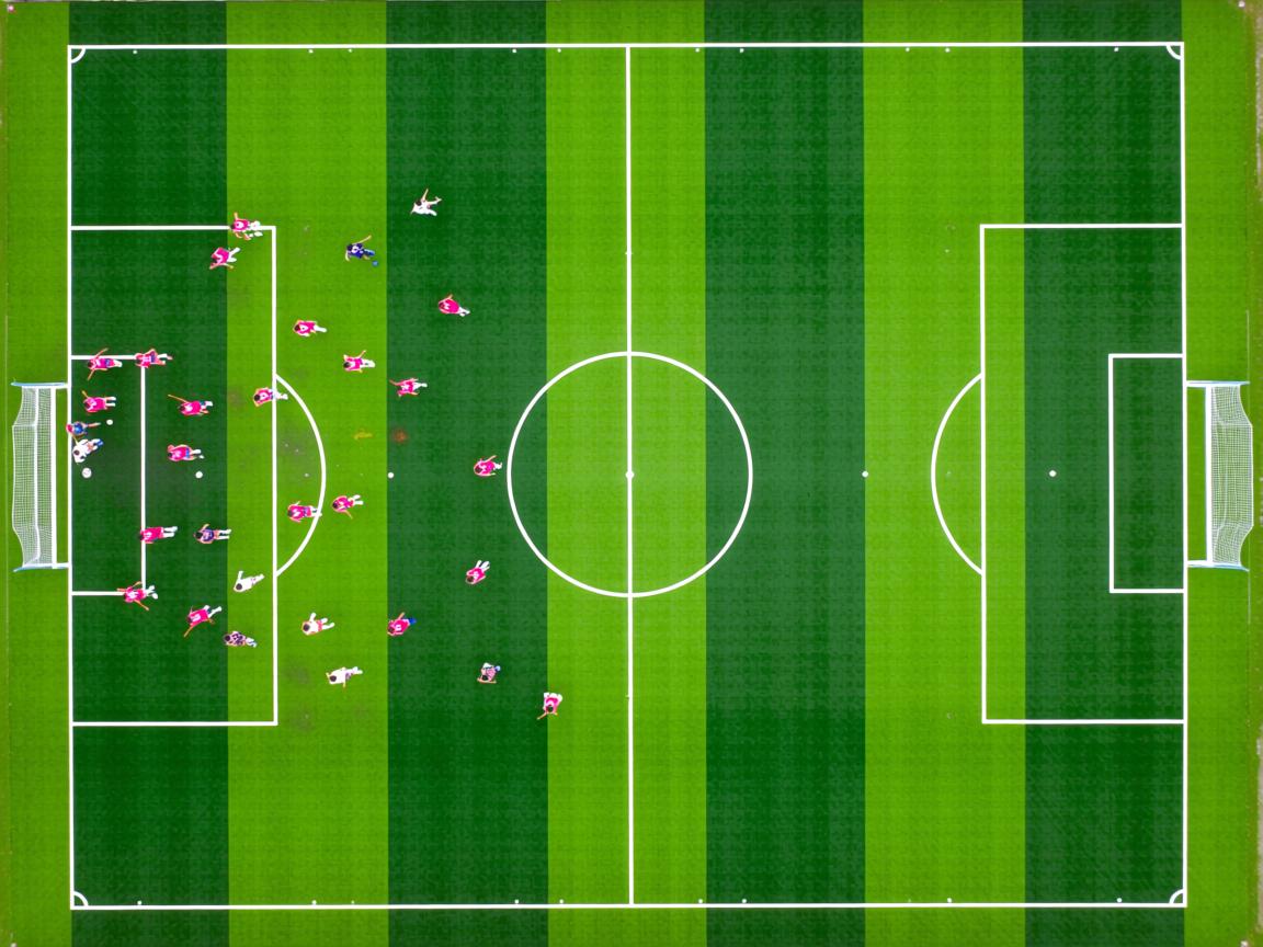 杏彩体育注册-世界前十蝶泳划水深度分布中美居前，蝶泳的世界纪录