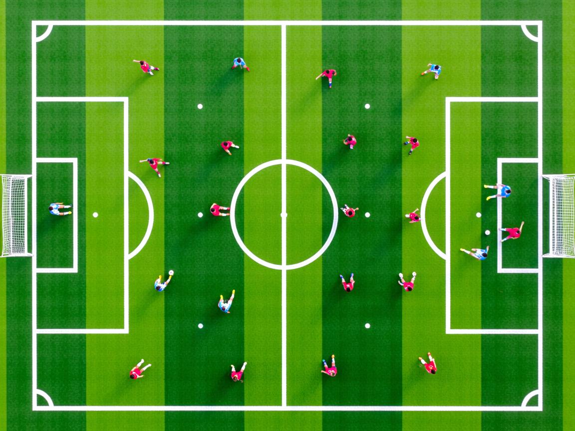 杏彩平台注册-技术动作稳定性数据分析，技术动作稳定性数据分析报告